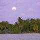 60- Lever de lune sur le motu 